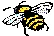 wpe2.gif (1157 bytes)